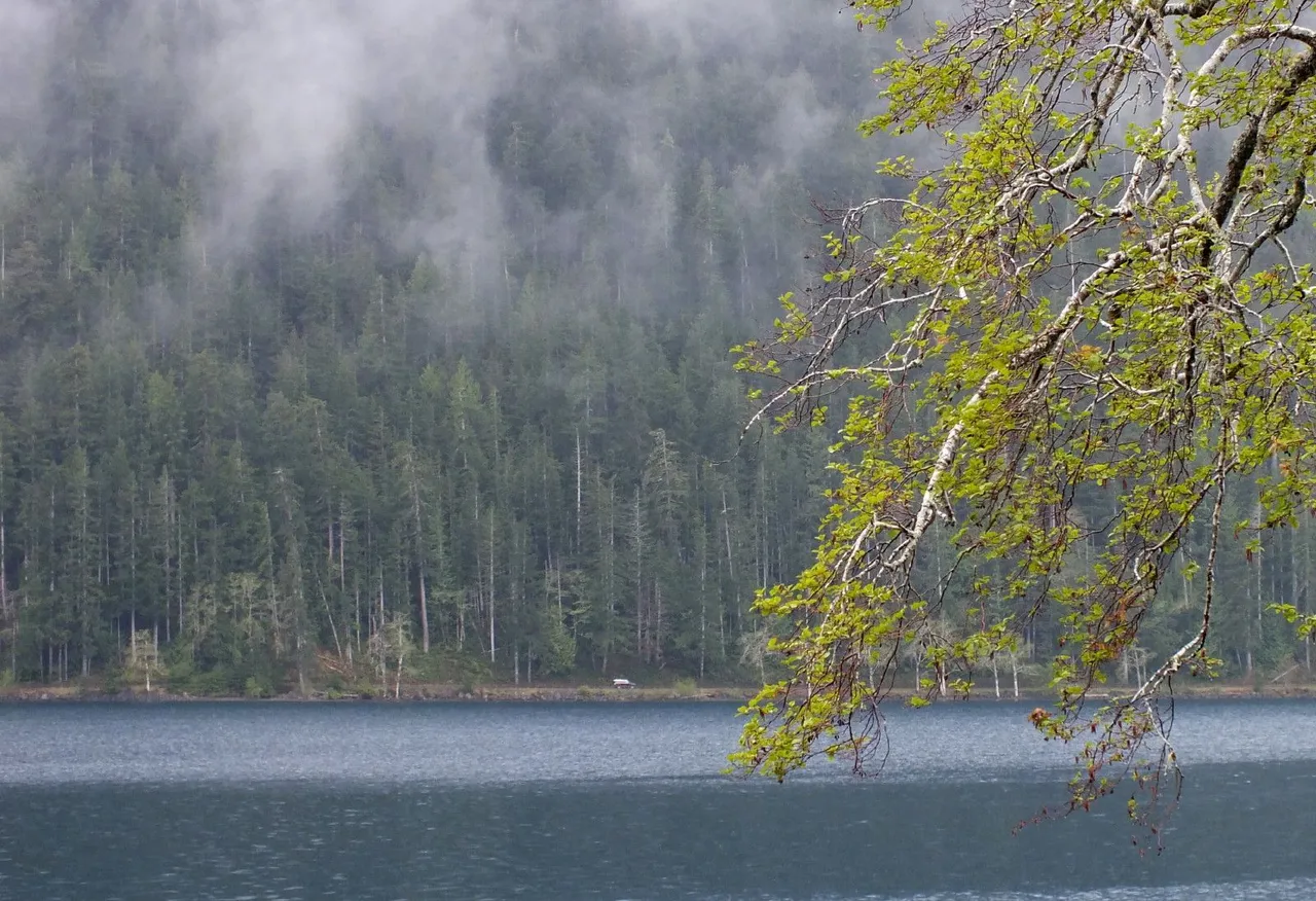 0246-LakeView.jpg