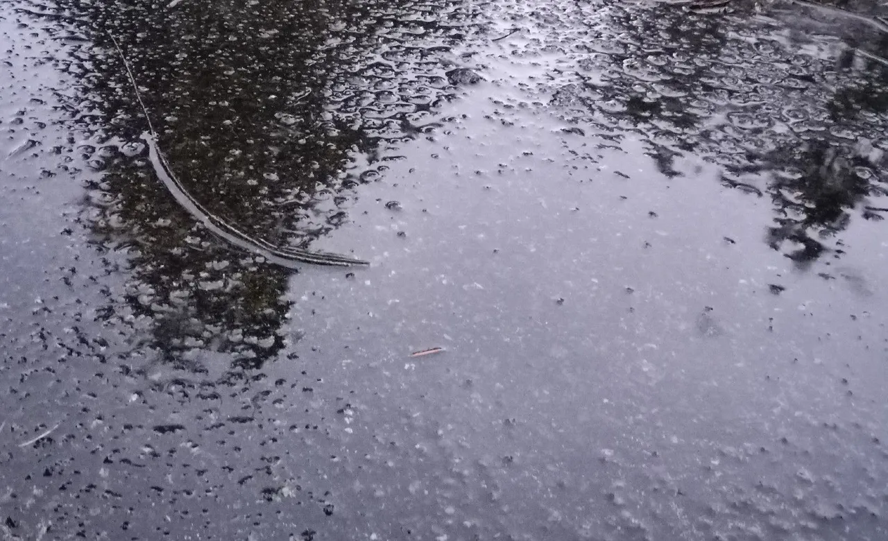 0673-Puddle.jpg