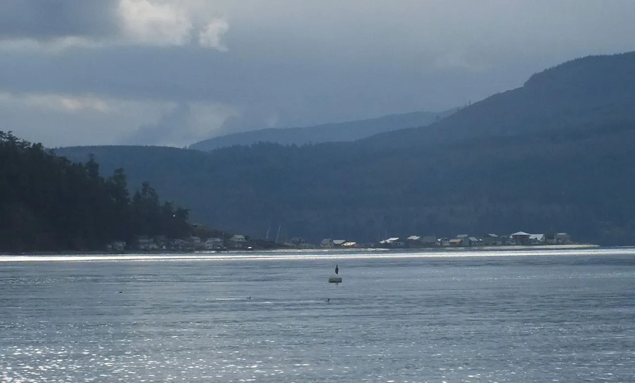0451-View.jpg