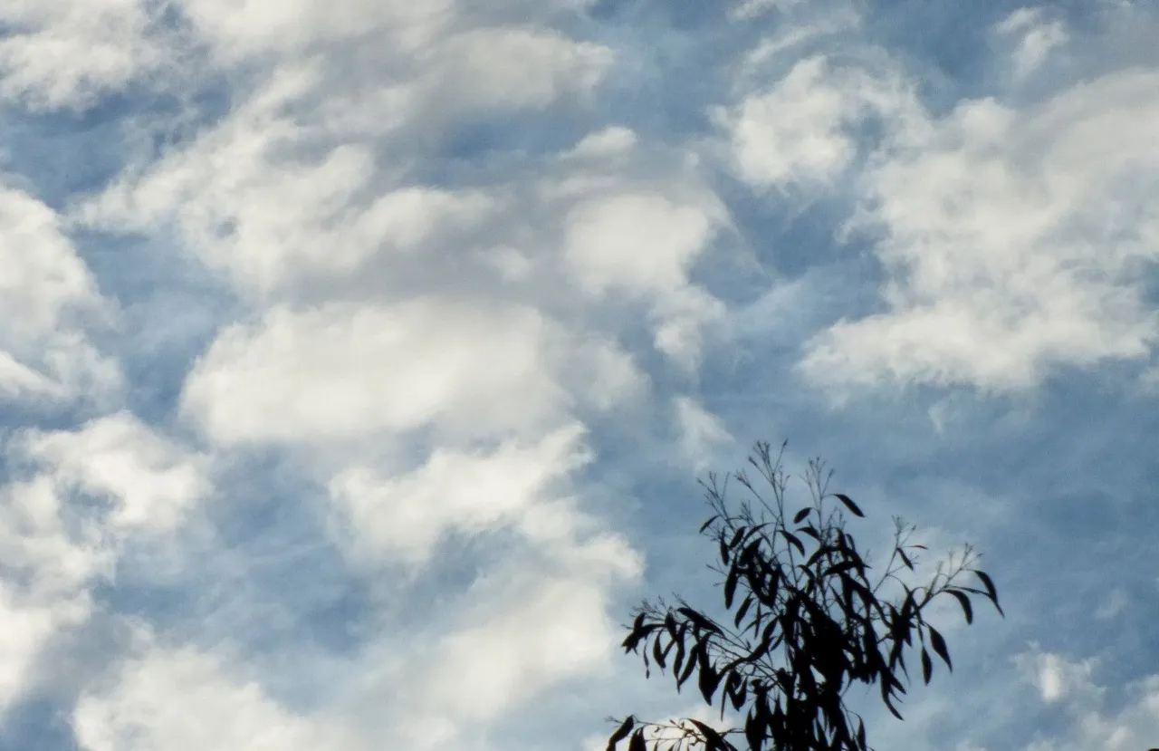 0340-Clouds.JPG