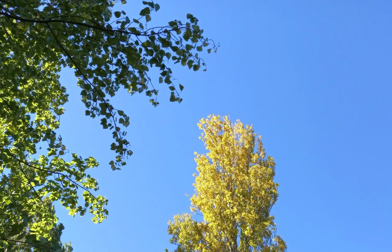 20231007_002527.jpg