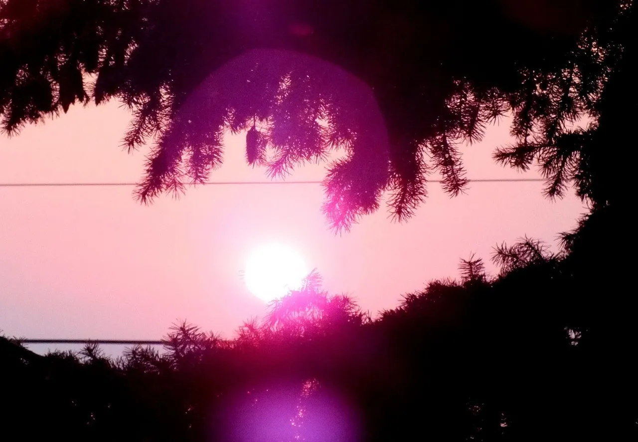 0124-Sunset.jpg