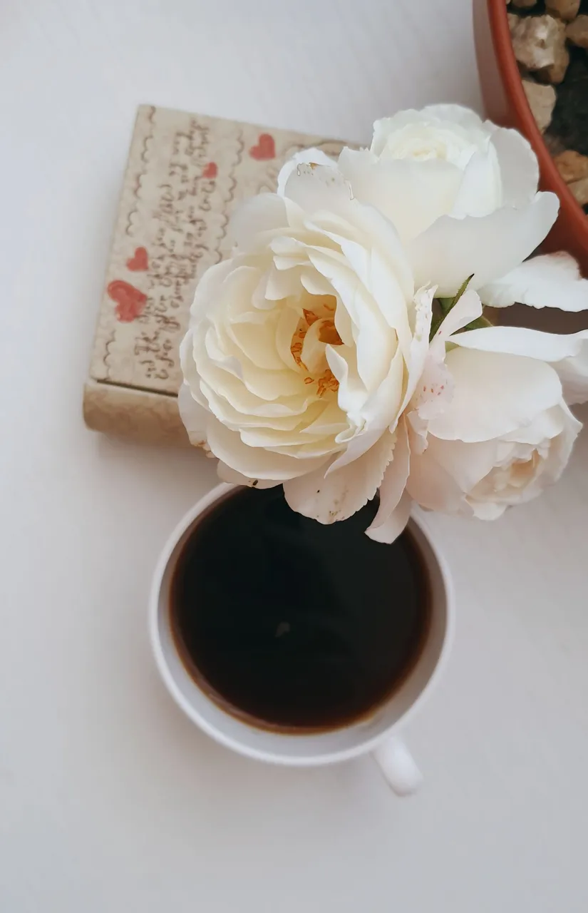 free-photo-of-cup-of-coffee-by-white-flowers.jpeg