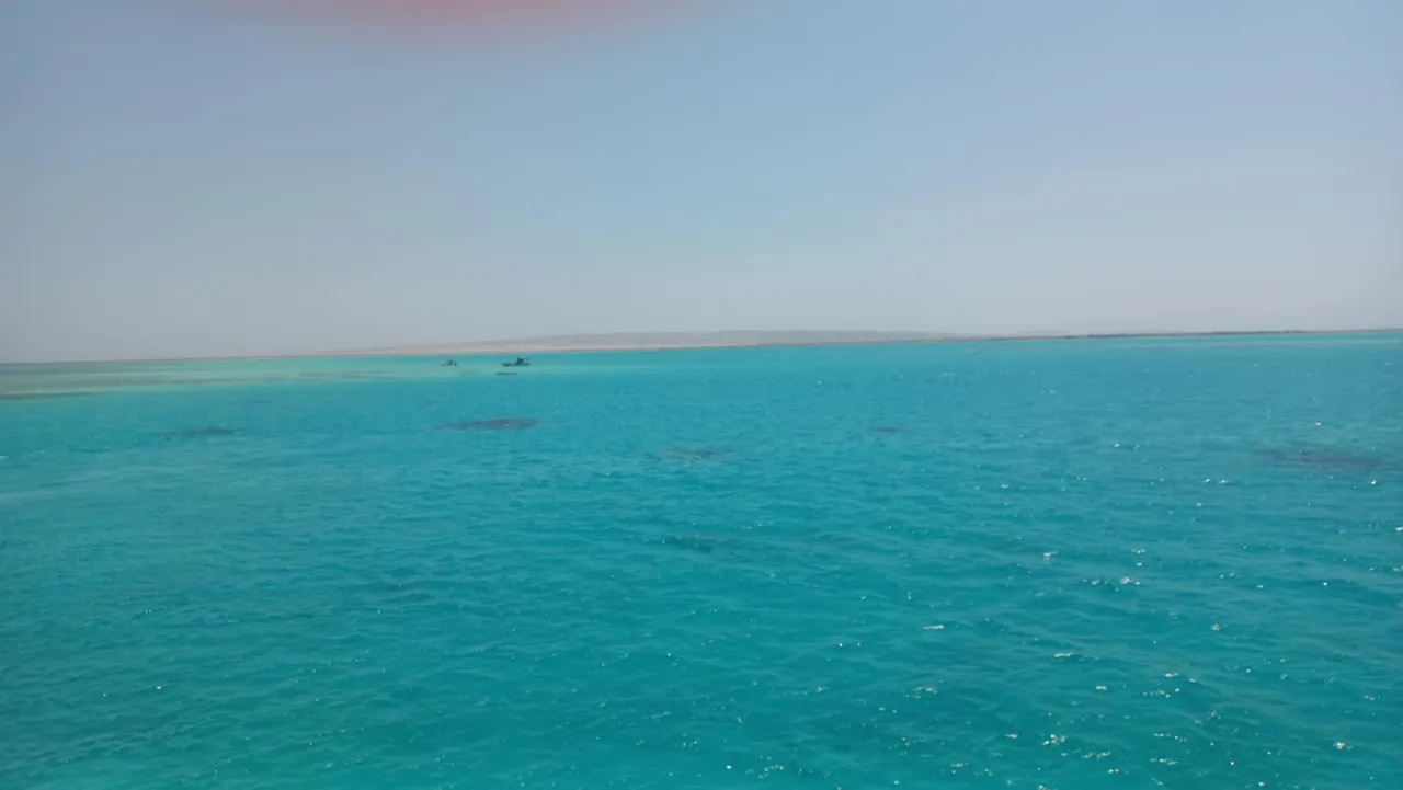 525990666_1285396429604353_2657224351724377089_n.jpg