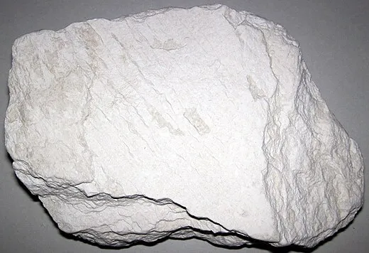 Diatomite_(Sisquoc_Formation,_Miocene-Pliocene;_Palos_Colorados_Quarry,_California,_USA)_5.jpg