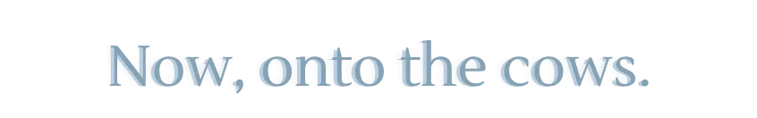 Now, onto the cows. (1).png