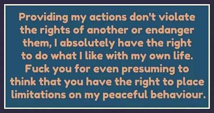 97b6ad850186e8985c4ec6d3a569f44e--non-aggression-principle-nap.webp