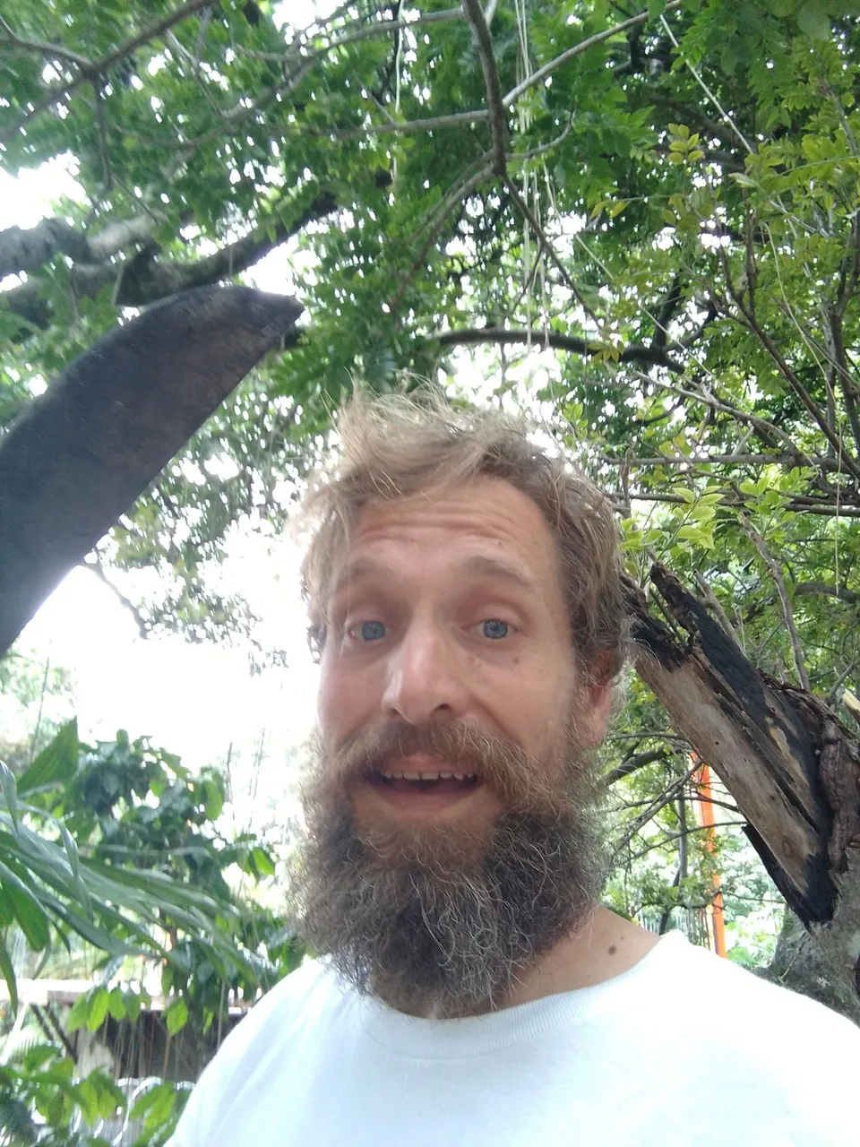 macheteThumbnail.jpg