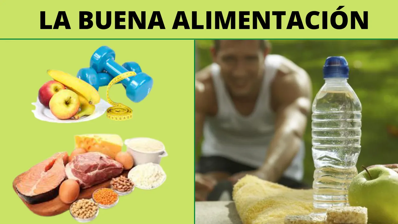 alimentacion.png