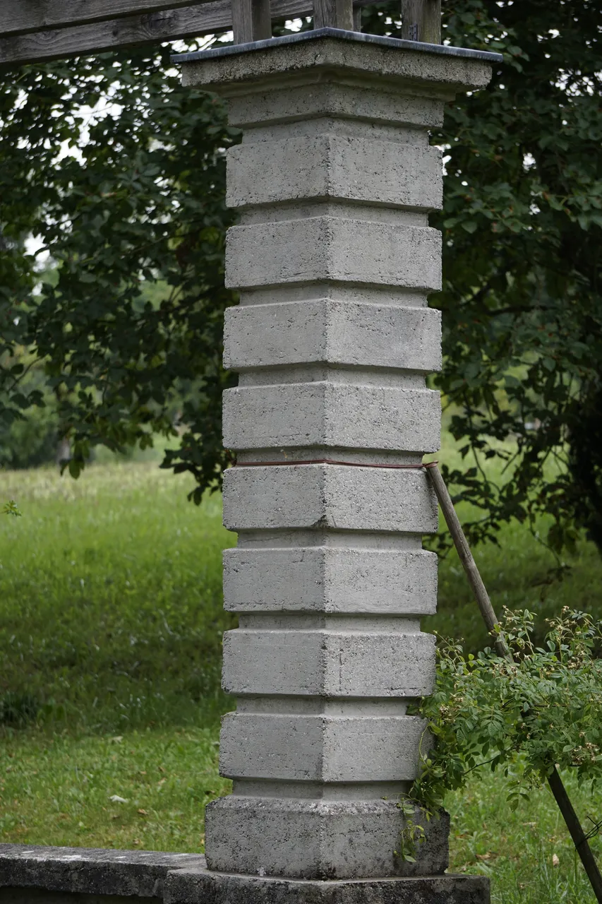 _DSC8788.JPG