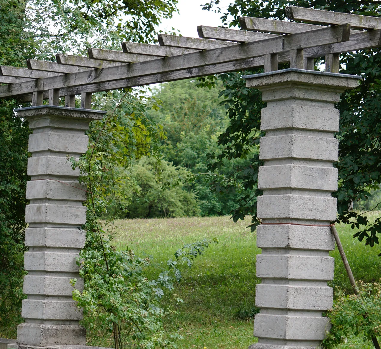 _DSC8786.JPG