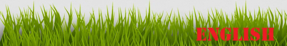 Screenshot 2022-09-05 at 13-15-49 grass-2029768_960_720.png (Imagen PNG 960 × 480 píxeles).png