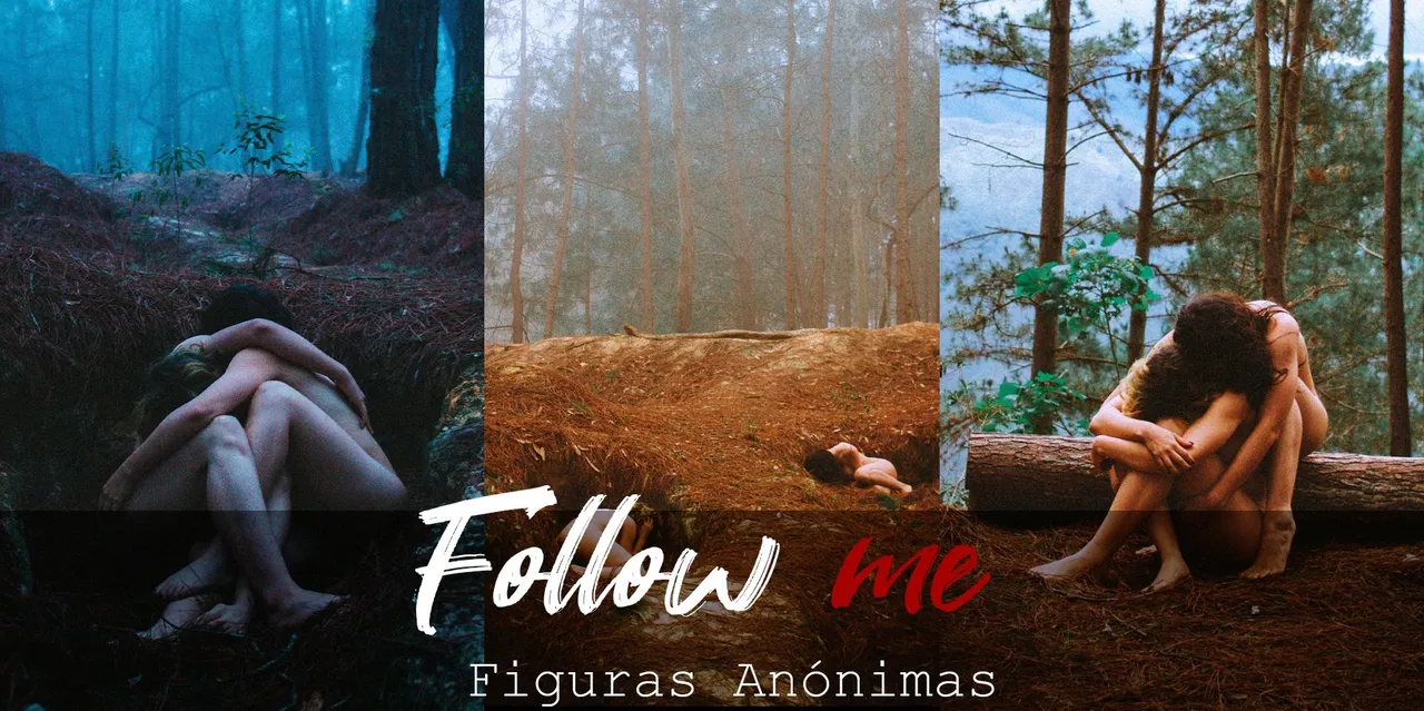 Follow-Me-Portada.jpg