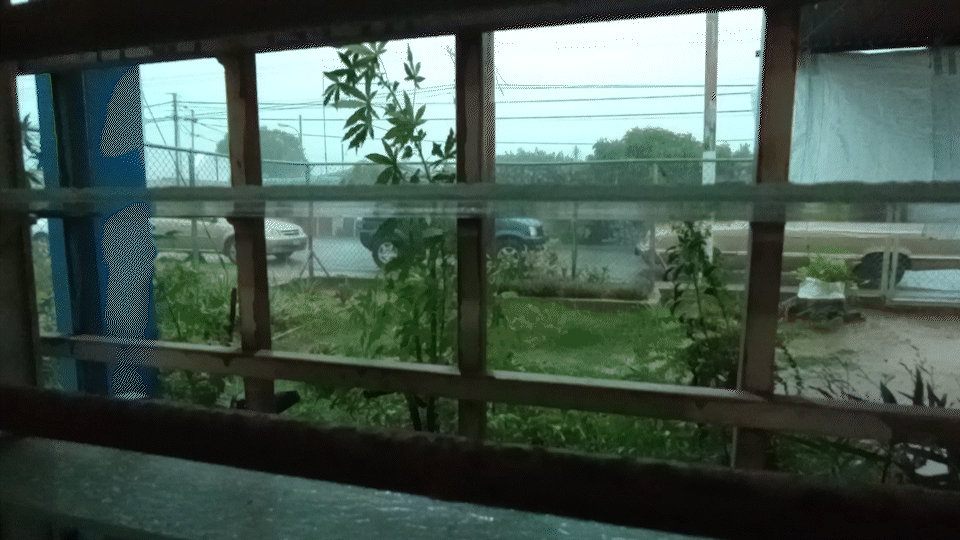 VID_20230711_163830409_AdobeExpress.gif
