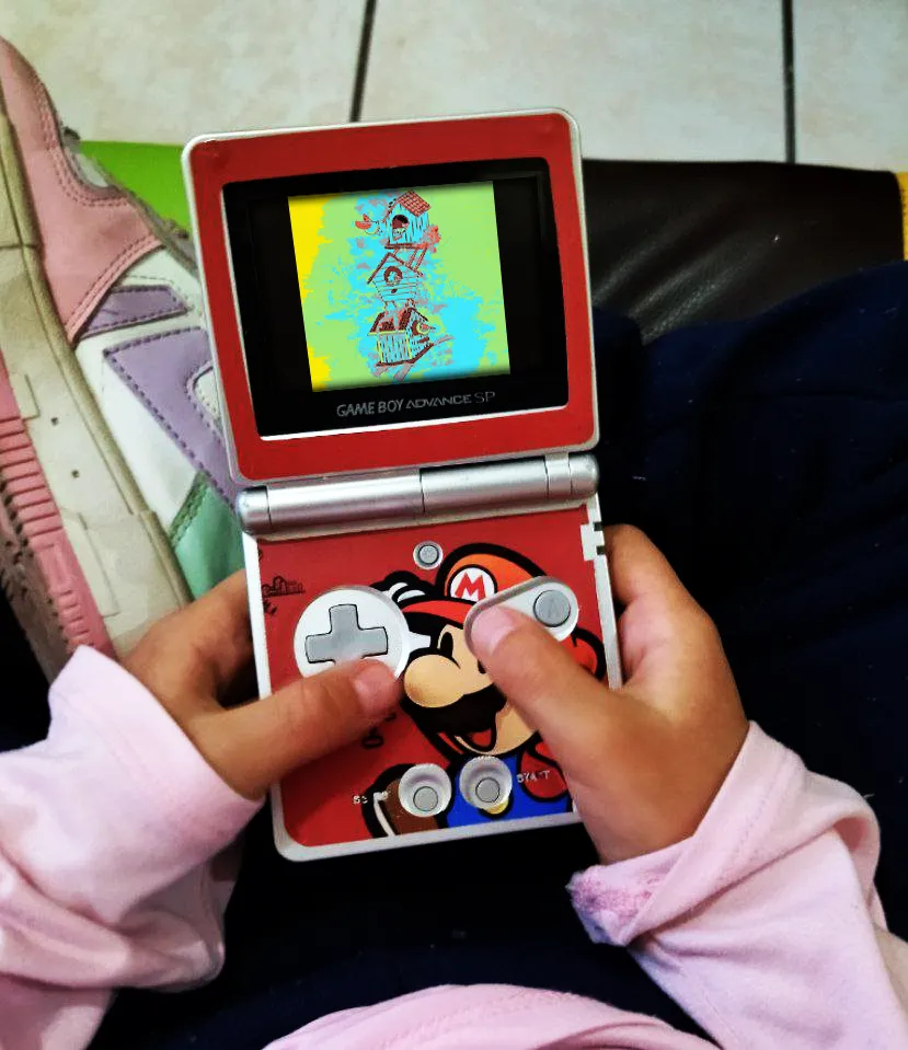 Actual footage of my daughter playing Birds homes. (jk)
