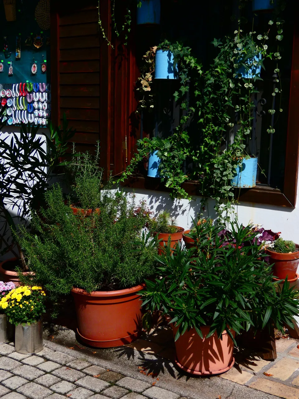 P1500060.JPG