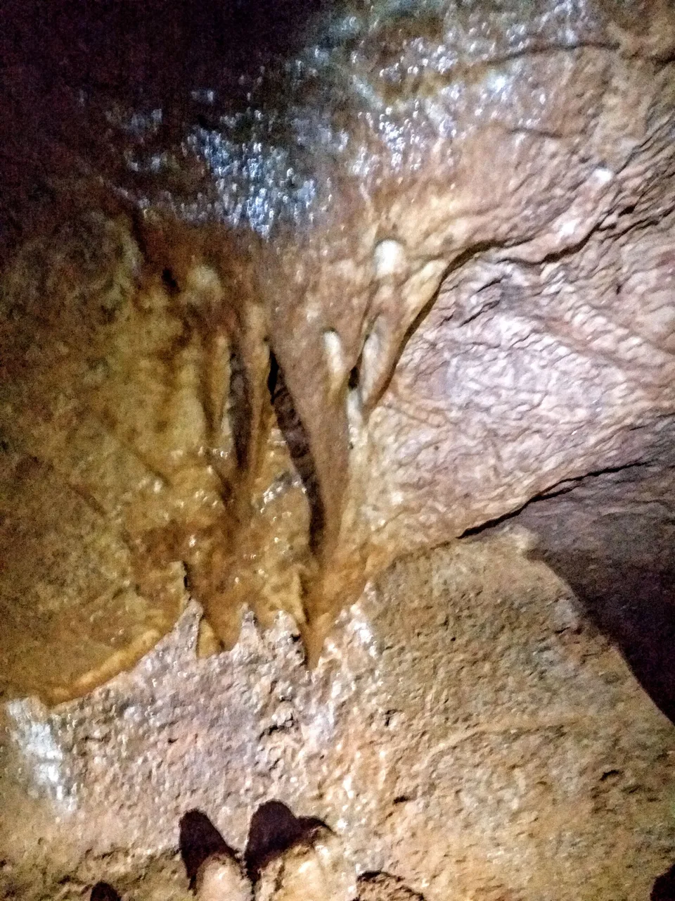 20220618_123837.jpg