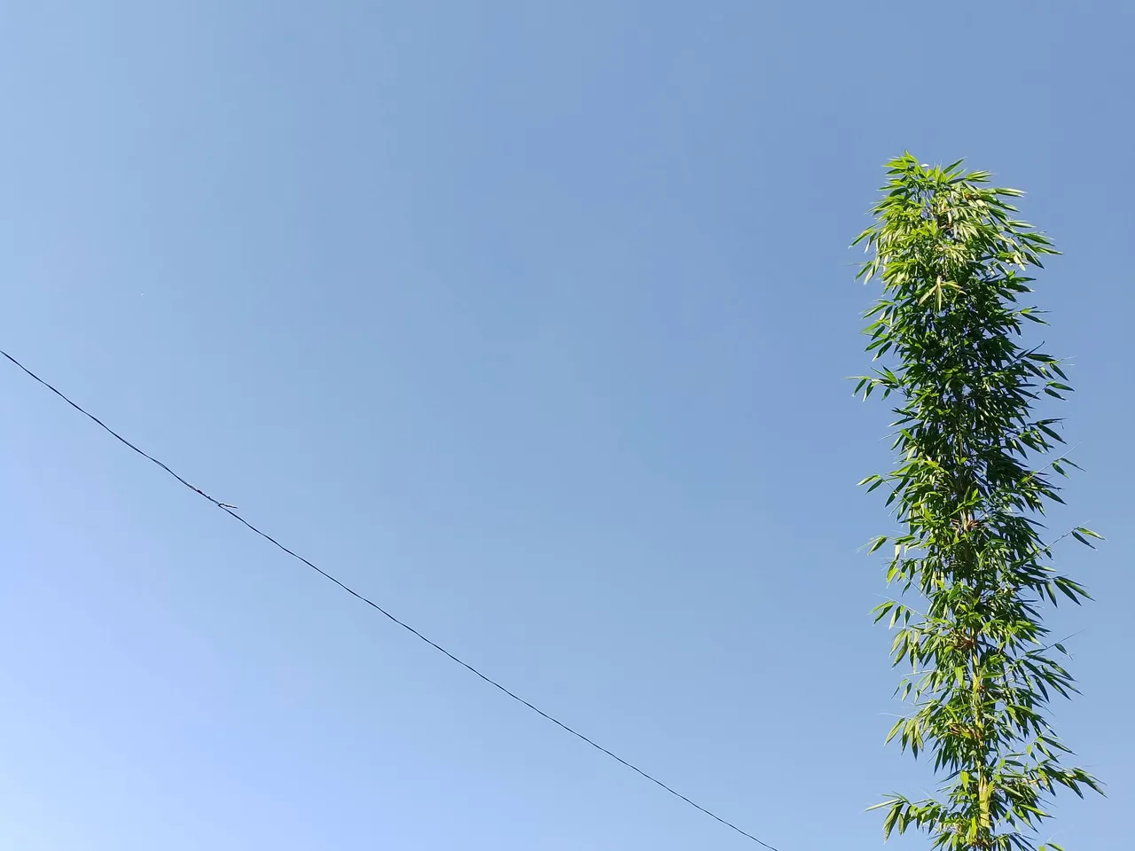 IMG_20250804_072507.jpg