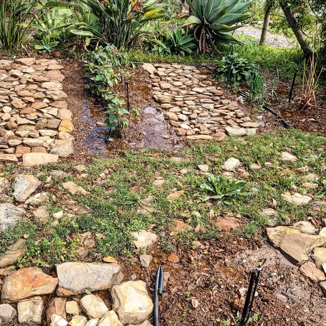 veggie garden pond 2