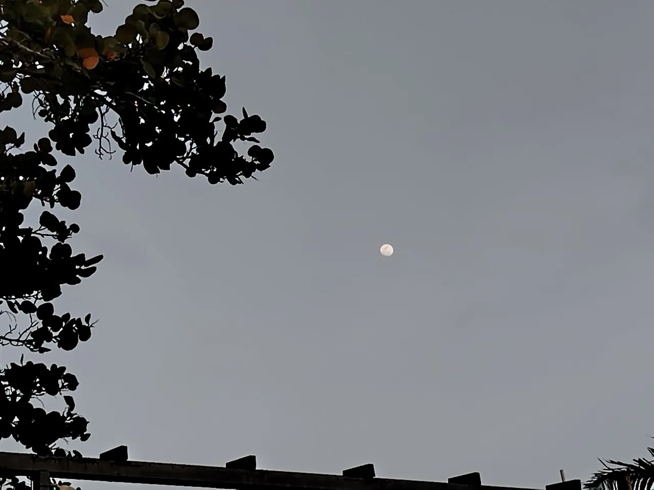 IMG_20250608_183133.jpg