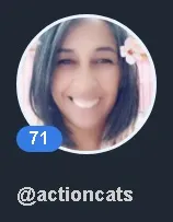Actioncats.jpg