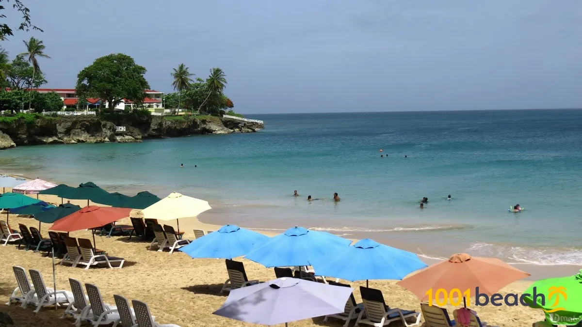 store_bay-5.jpg