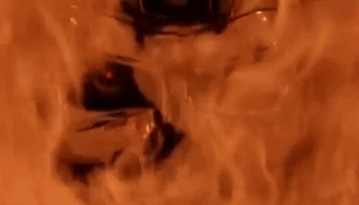 Terminator 2.gif