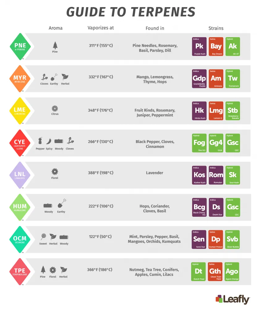 Terpene-Chart-copy-2-844x1024.png