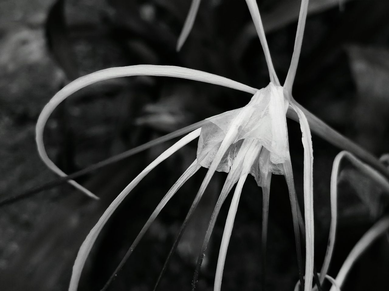 1000119703.jpg