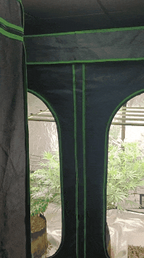 GIF_20240719_201145_595.gif