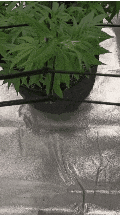20230827_220120.gif