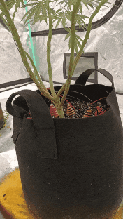 GIF_20240705_220023_113.gif