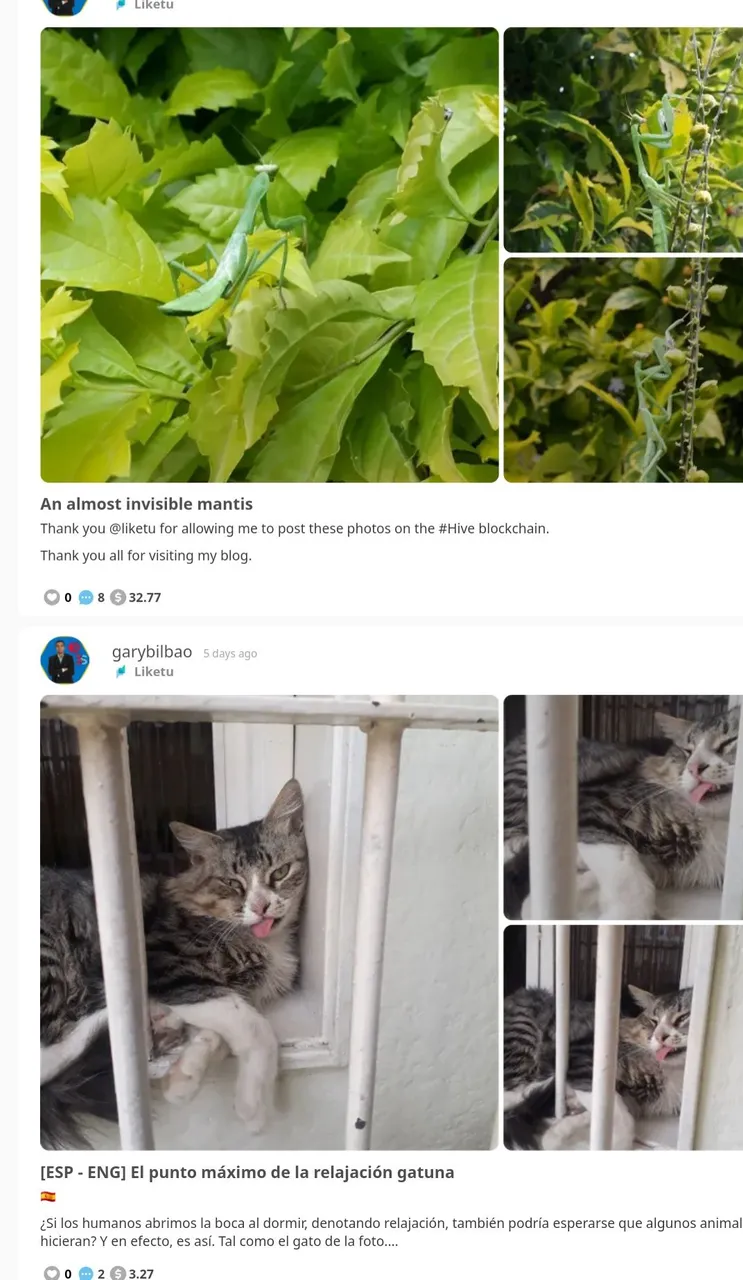 Screenshot_20221226-121857_Chrome.jpg