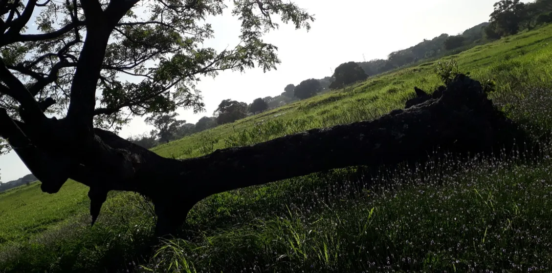 Captura de pantalla (17).png