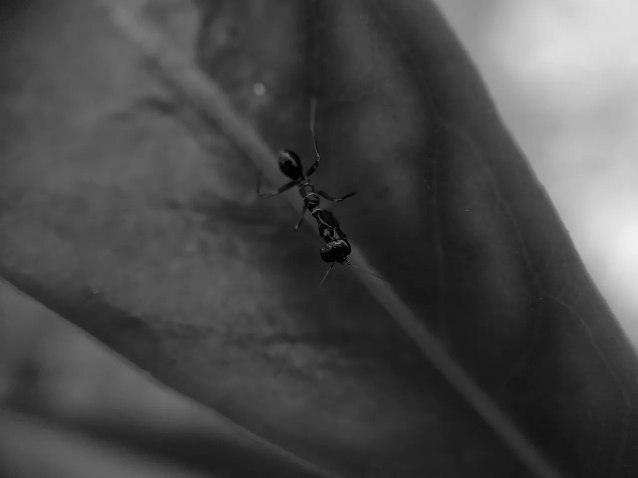 IMG_20220427_172017.jpg