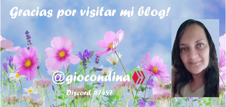 imagen.png