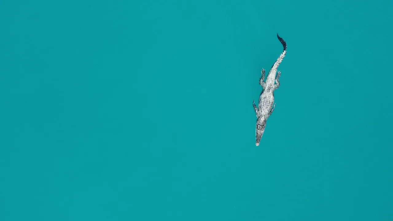 DJI_0343.JPG