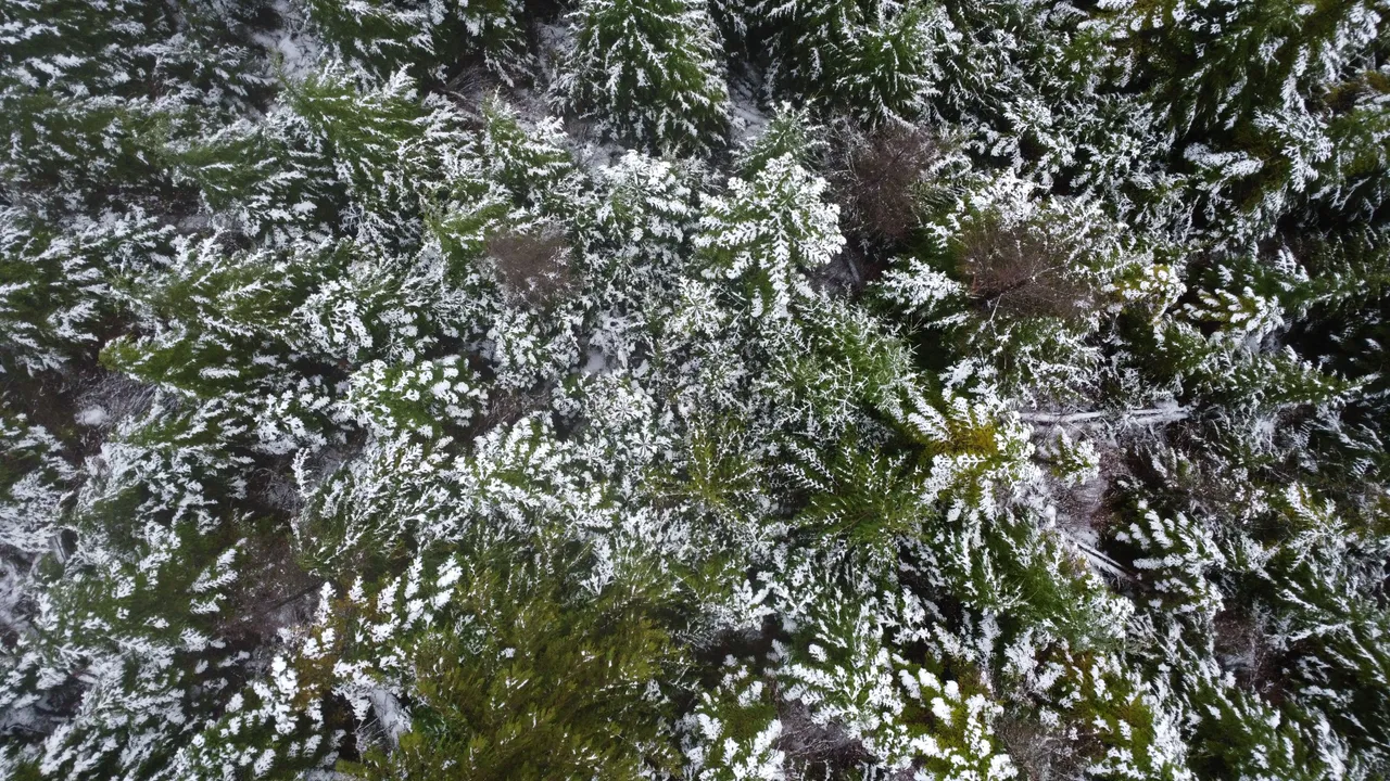 DJI_0091.JPG