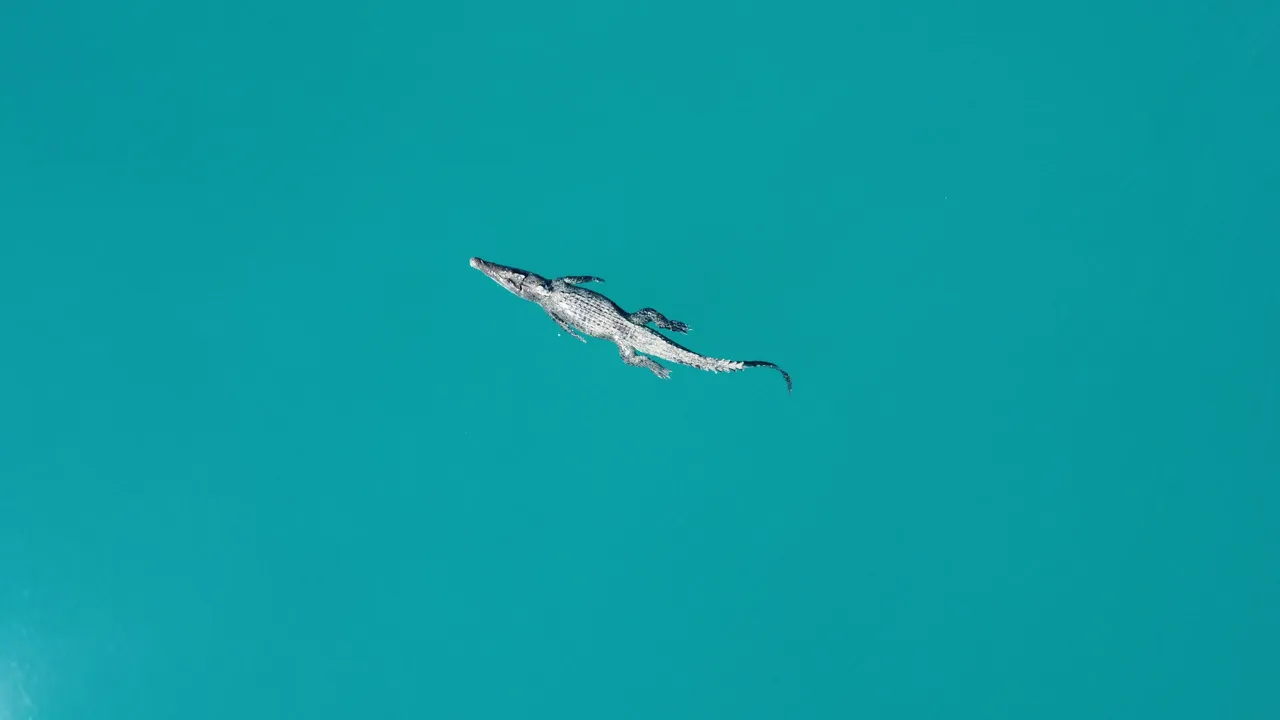 DJI_0346.JPG
