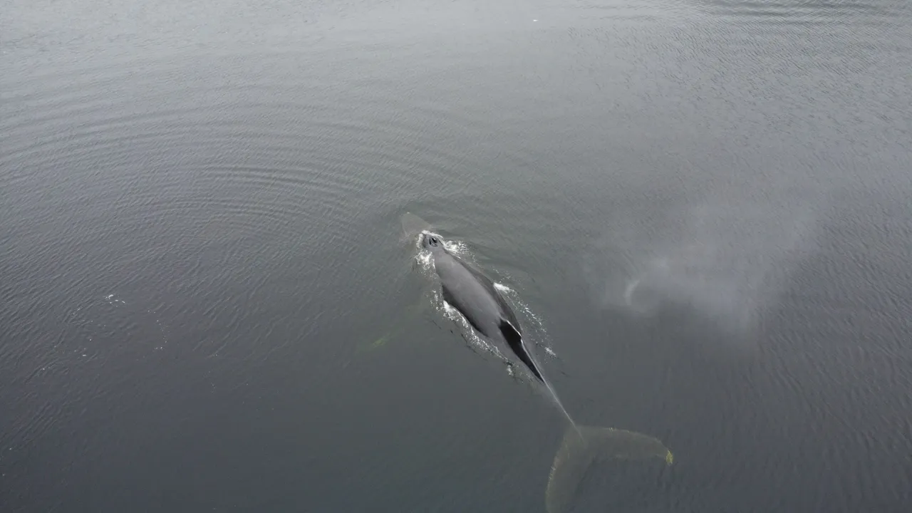 DJI_0102.JPG