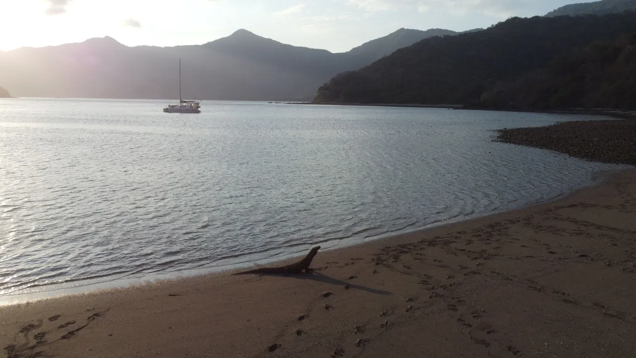 DJI_0829.JPG