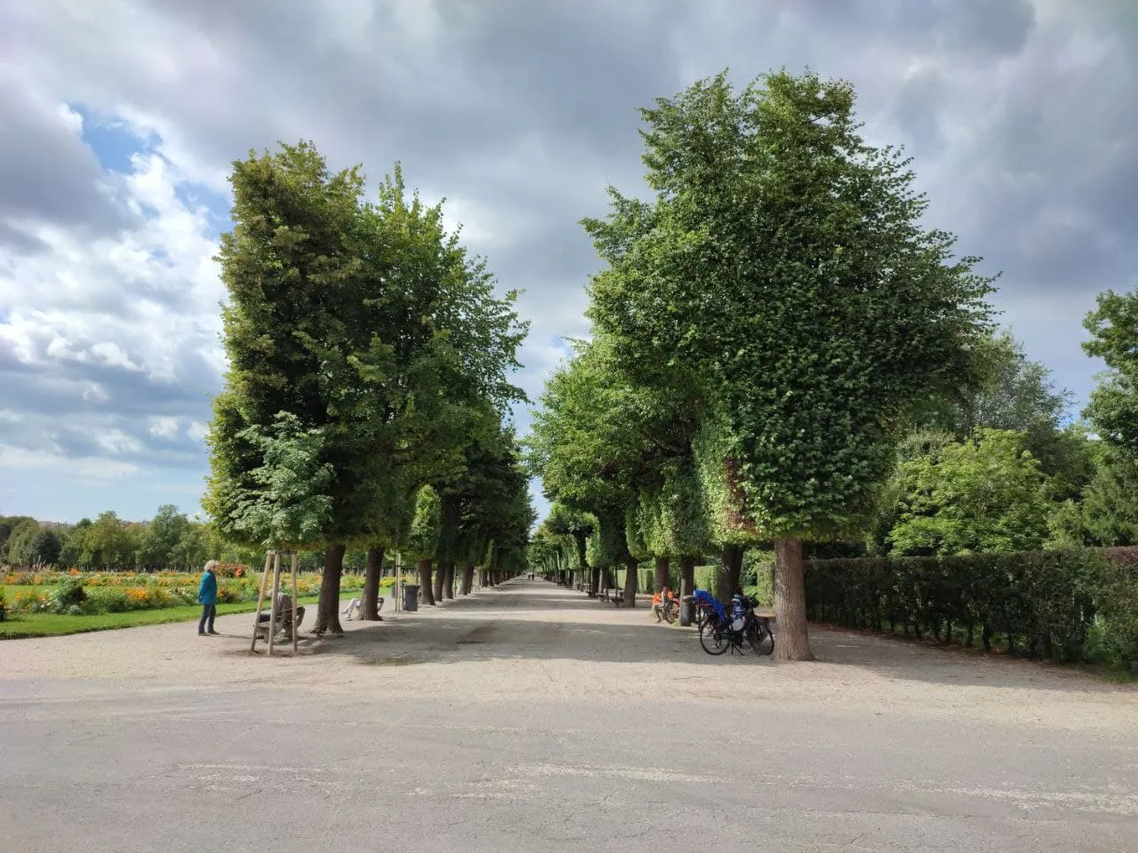 park augarten.jpg