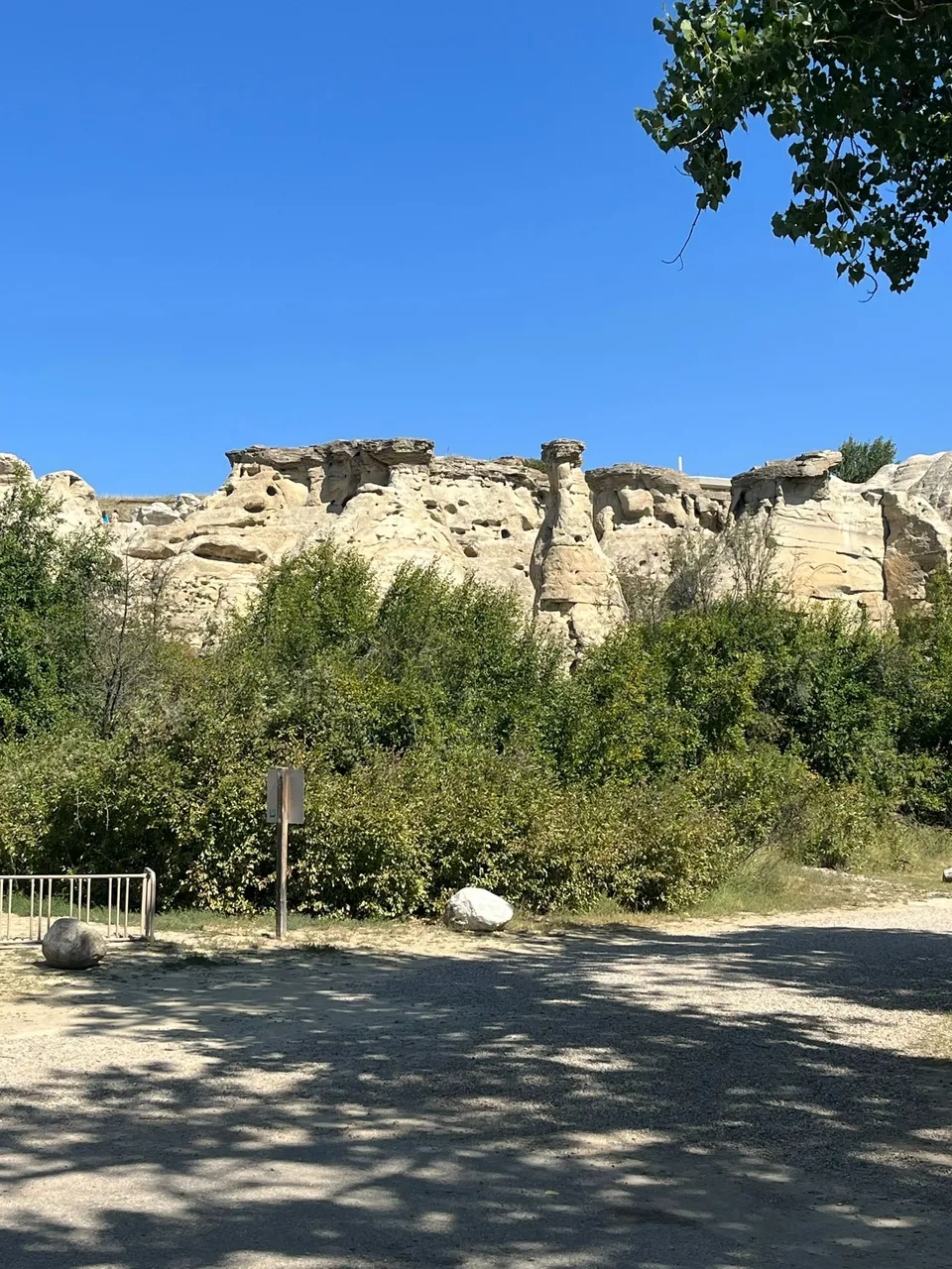 IMG_4081.JPEG