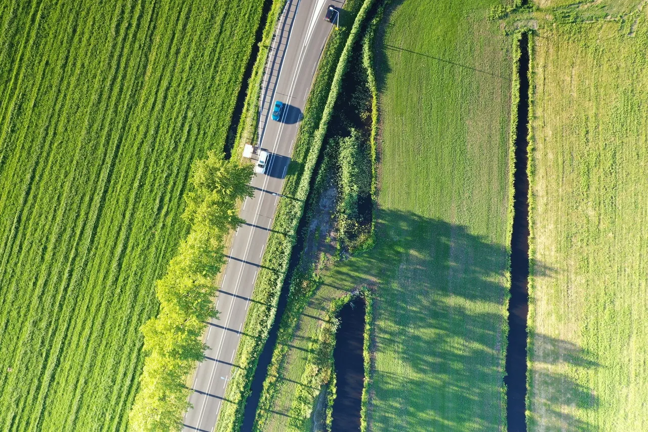 DJI_0754.jpg