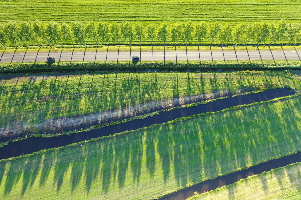 DJI_0743.jpg