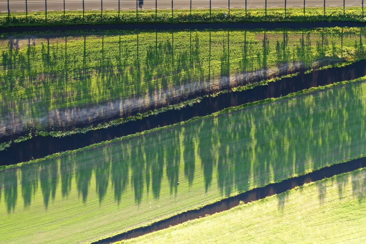 DJI_0744.jpg