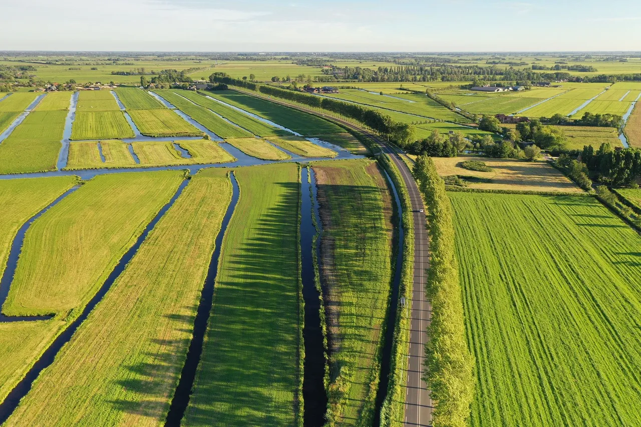 DJI_0758.jpg