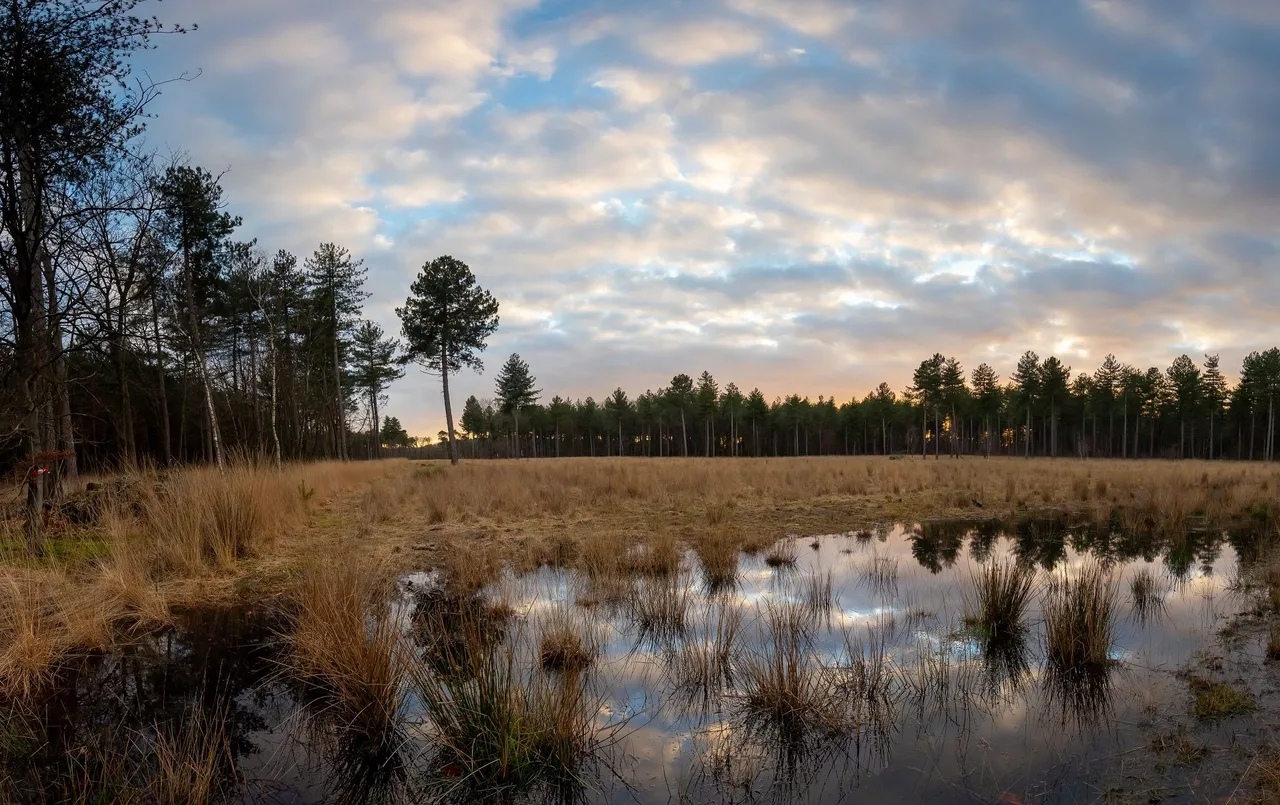 IMG_5371-Pano.jpg