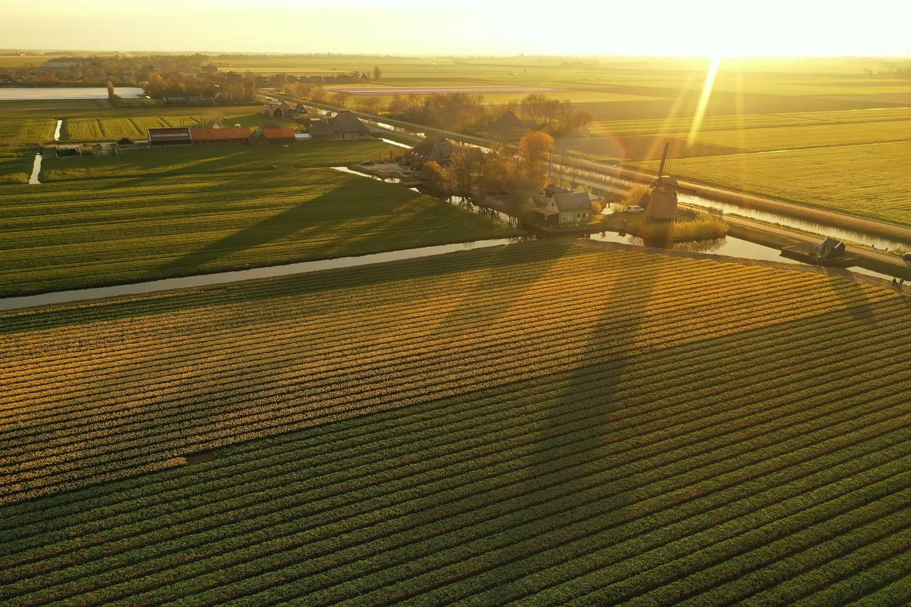 DJI_0300.jpg