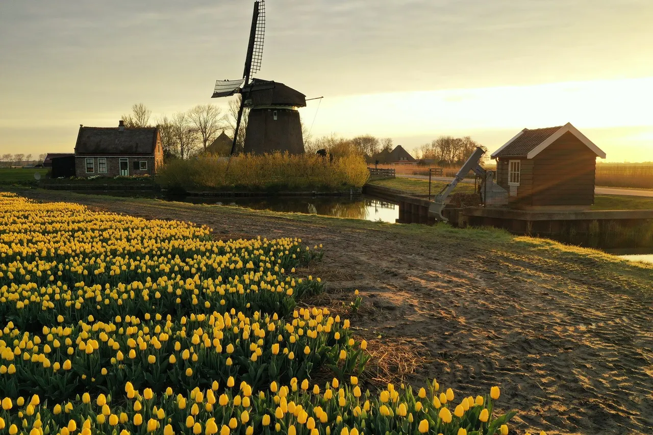 DJI_0289.jpg